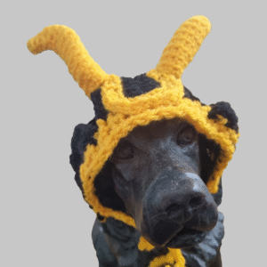 Loki Cat or Small Dog Hat Crochet Pattern