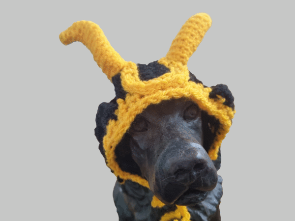 Loki Cat or Small Dog Hat Crochet Pattern