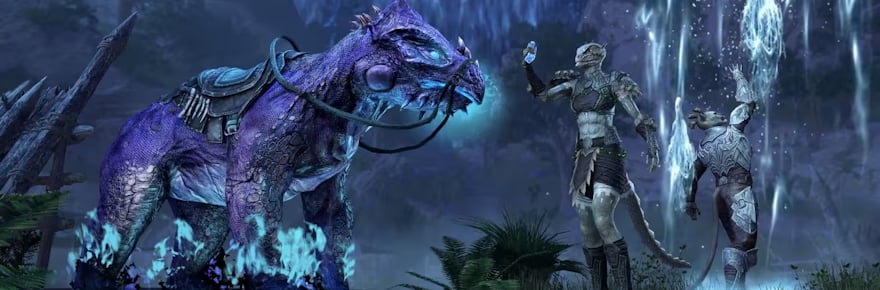 A Little Life Update & The Writhing Wall Event in ESO 🎮🐾